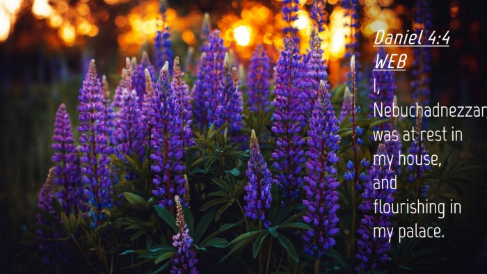 Picture 04 - Daniel 4:4 WEB Desktop Wallpaper - I, Nebuchadnezzar, was at rest in my house, and - Desktop Bible Verse Wallpaper