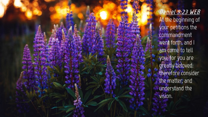 Picture 04 - Daniel 9:23 WEB Desktop Wallpaper - At the beginning of your petitions the - Desktop Bible Verse Wallpaper