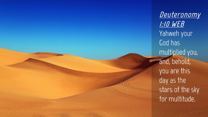 Picture 04 - Deuteronomy 1:10 WEB Desktop Wallpaper - Yahweh your God has multiplied you, and, behold, - Desktop Bible Verse Wallpaper