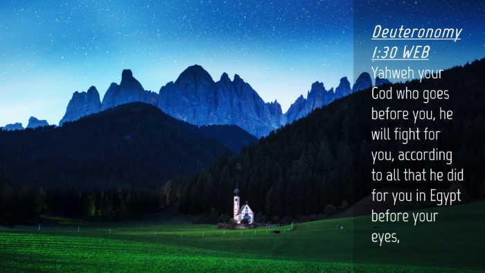 Picture 04 - Deuteronomy 1:30 WEB Desktop Wallpaper - Yahweh your God who goes before you, he will - Desktop Bible Verse Wallpaper
