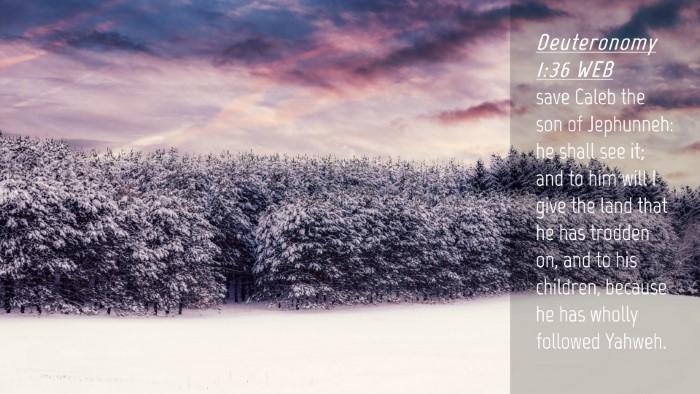 Picture 04 - Deuteronomy 1:36 WEB Desktop Wallpaper - save Caleb the son of Jephunneh: he shall see it; - Desktop Bible Verse Wallpaper