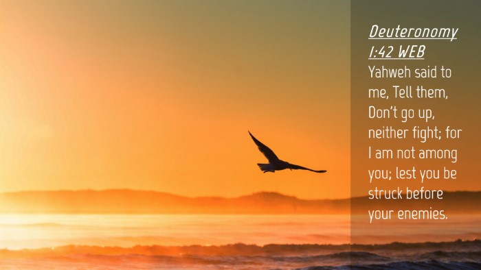 Picture 04 - Deuteronomy 1:42 WEB Desktop Wallpaper - Yahweh said to me, Tell them, Don't go up, - Desktop Bible Verse Wallpaper