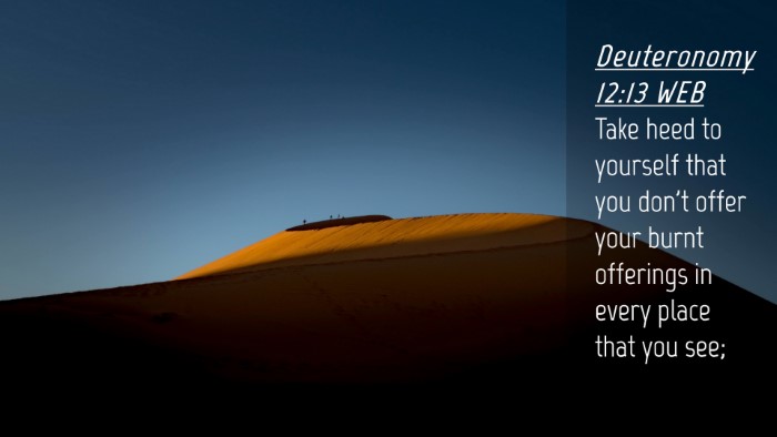 Picture 04 - Deuteronomy 12:13 WEB Desktop Wallpaper - Take heed to yourself that you don't offer your - Desktop Bible Verse Wallpaper