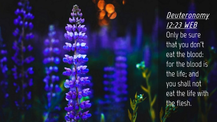 Picture 04 - Deuteronomy 12:23 WEB Desktop Wallpaper - Only be sure that you don't eat the blood: for - Desktop Bible Verse Wallpaper