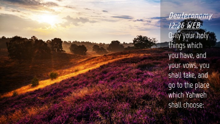 Picture 04 - Deuteronomy 12:26 WEB Desktop Wallpaper - Only your holy things which you have, and your - Desktop Bible Verse Wallpaper