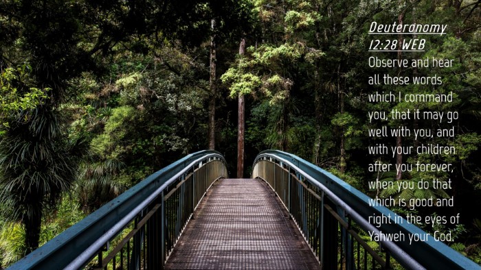 Picture 04 - Deuteronomy 12:28 WEB Desktop Wallpaper - Observe and hear all these words which I command - Desktop Bible Verse Wallpaper