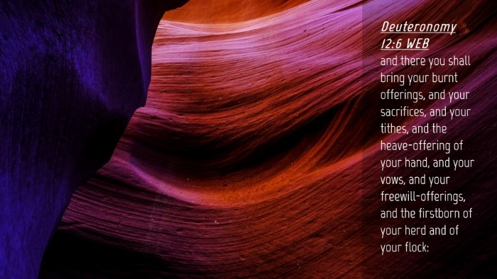 Picture 04 - Deuteronomy 12:6 WEB Desktop Wallpaper - and there you shall bring your burnt offerings, - Desktop Bible Verse Wallpaper