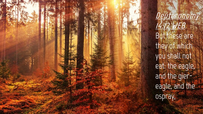 Picture 04 - Deuteronomy 14:12 WEB Desktop Wallpaper - But these are they of which you shall not eat: - Desktop Bible Verse Wallpaper