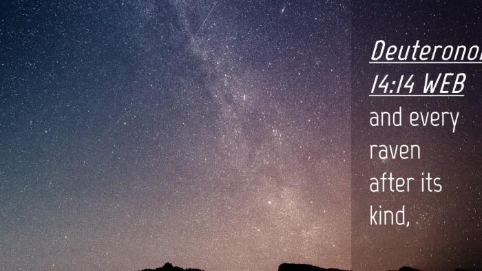 Picture 04 - Deuteronomy 14:14 WEB Desktop Wallpaper - and every raven after its - Desktop Bible Verse Wallpaper