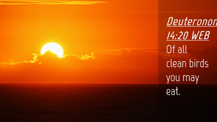 Picture 04 - Deuteronomy 14:20 WEB Desktop Wallpaper - Of all clean birds you may - Desktop Bible Verse Wallpaper