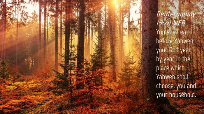 Picture 04 - Deuteronomy 15:20 WEB Desktop Wallpaper - You shall eat it before Yahweh your God year by - Desktop Bible Verse Wallpaper