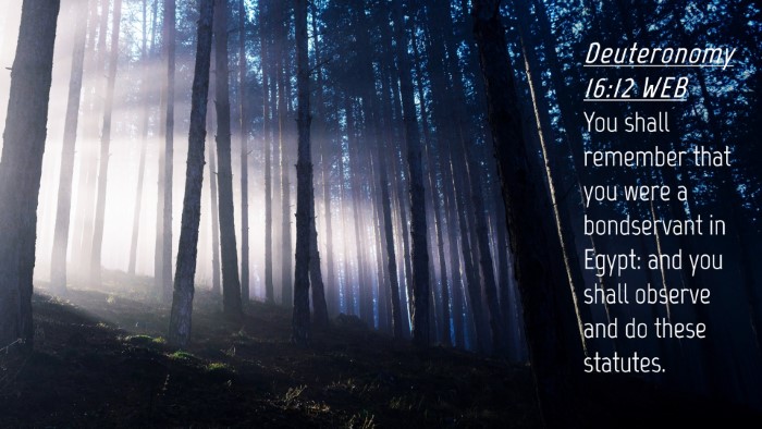 Picture 04 - Deuteronomy 16:12 WEB Desktop Wallpaper - You shall remember that you were a bondservant in - Desktop Bible Verse Wallpaper