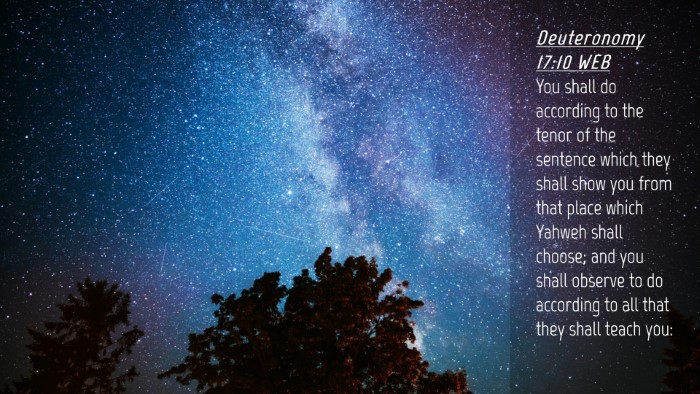 Picture 04 - Deuteronomy 17:10 WEB Desktop Wallpaper - You shall do according to the tenor of the - Desktop Bible Verse Wallpaper