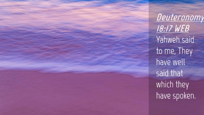 Picture 04 - Deuteronomy 18:17 WEB Desktop Wallpaper - Yahweh said to me, They have well said that which - Desktop Bible Verse Wallpaper