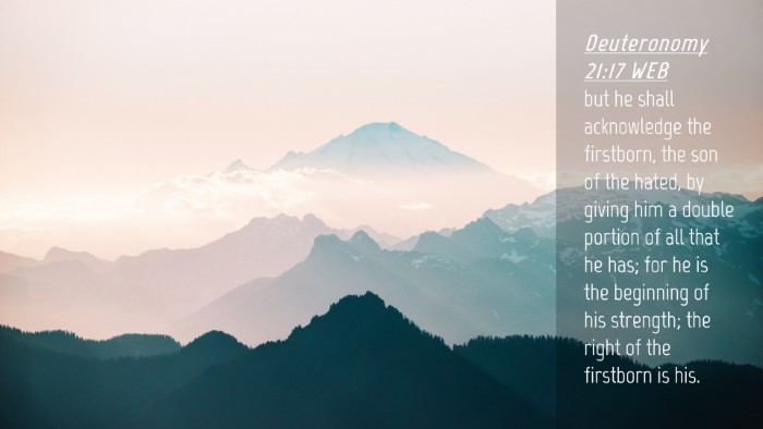 Picture 04 - Deuteronomy 21:17 WEB Desktop Wallpaper - but he shall acknowledge the firstborn, the son - Desktop Bible Verse Wallpaper