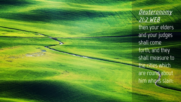 Picture 04 - Deuteronomy 21:2 WEB Desktop Wallpaper - then your elders and your judges shall come - Desktop Bible Verse Wallpaper