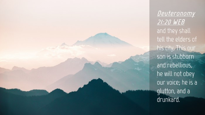Picture 04 - Deuteronomy 21:20 WEB Desktop Wallpaper - and they shall tell the elders of his city, This - Desktop Bible Verse Wallpaper