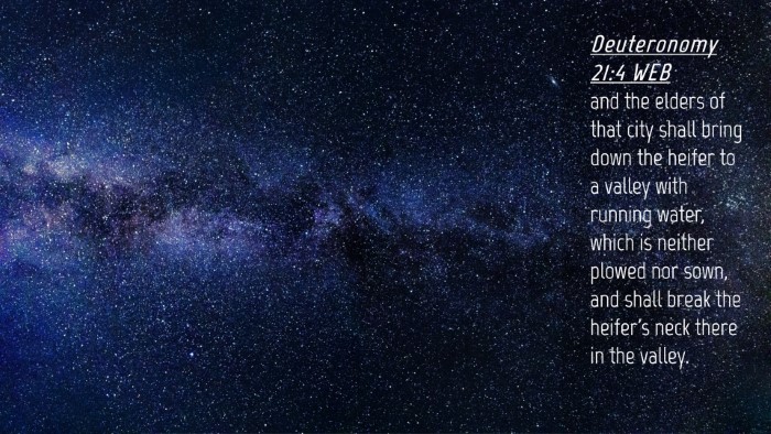 Picture 04 - Deuteronomy 21:4 WEB Desktop Wallpaper - and the elders of that city shall bring down the - Desktop Bible Verse Wallpaper
