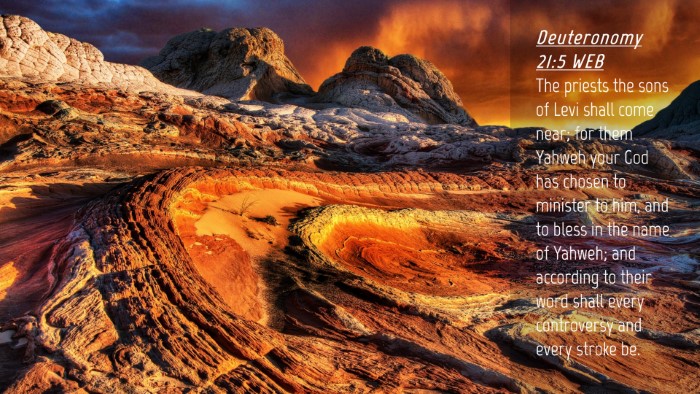 Picture 04 - Deuteronomy 21:5 WEB Desktop Wallpaper - The priests the sons of Levi shall come near; for - Desktop Bible Verse Wallpaper