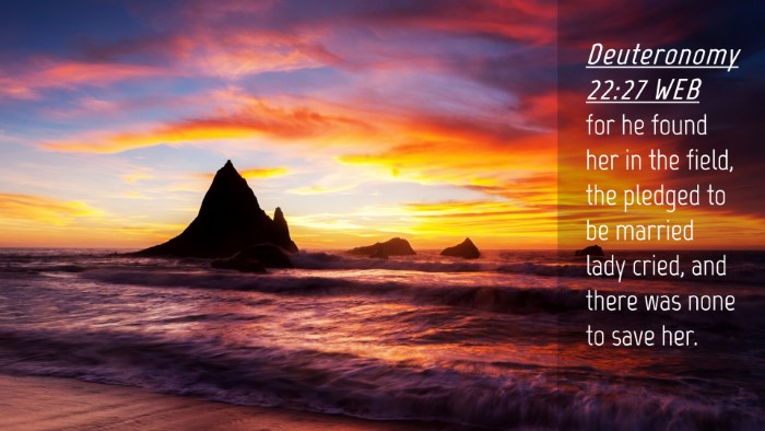 Picture 04 - Deuteronomy 22:27 WEB Desktop Wallpaper - for he found her in the field, the pledged to be - Desktop Bible Verse Wallpaper