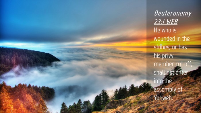 Picture 04 - Deuteronomy 23:1 WEB Desktop Wallpaper - He who is wounded in the stones, or has his privy - Desktop Bible Verse Wallpaper