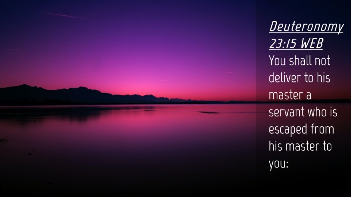 Picture 04 - Deuteronomy 23:15 WEB Desktop Wallpaper - You shall not deliver to his master a servant who - Desktop Bible Verse Wallpaper