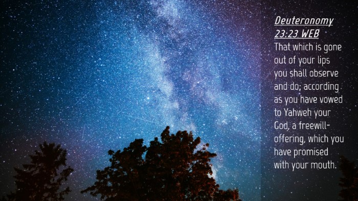 Picture 04 - Deuteronomy 23:23 WEB Desktop Wallpaper - That which is gone out of your lips you shall - Desktop Bible Verse Wallpaper