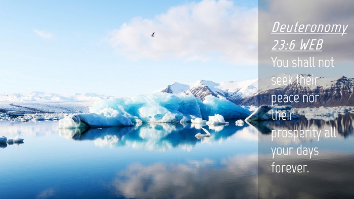 Picture 04 - Deuteronomy 23:6 WEB Desktop Wallpaper - You shall not seek their peace nor their - Desktop Bible Verse Wallpaper