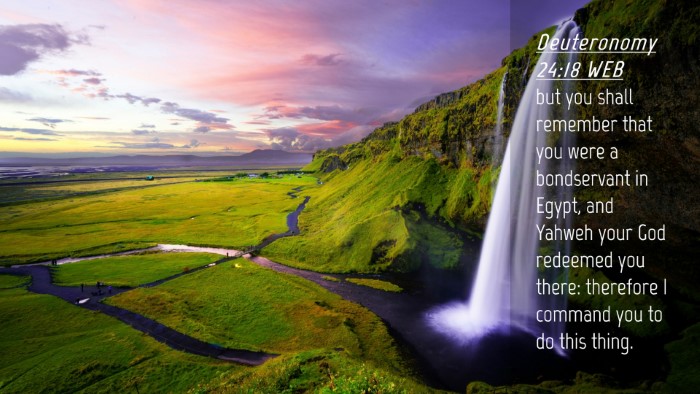 Picture 04 - Deuteronomy 24:18 WEB Desktop Wallpaper - but you shall remember that you were a - Desktop Bible Verse Wallpaper