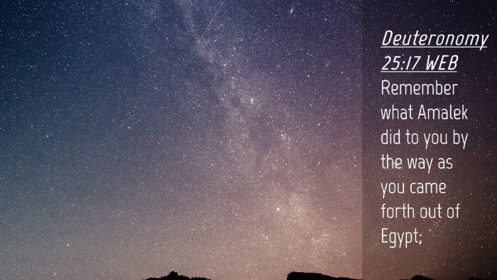 Picture 04 - Deuteronomy 25:17 WEB Desktop Wallpaper - Remember what Amalek did to you by the way as you - Desktop Bible Verse Wallpaper