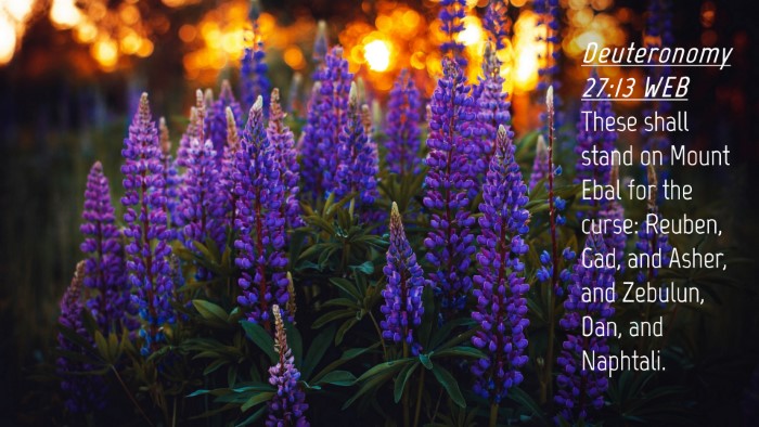 Picture 04 - Deuteronomy 27:13 WEB Desktop Wallpaper - These shall stand on Mount Ebal for the curse: - Desktop Bible Verse Wallpaper