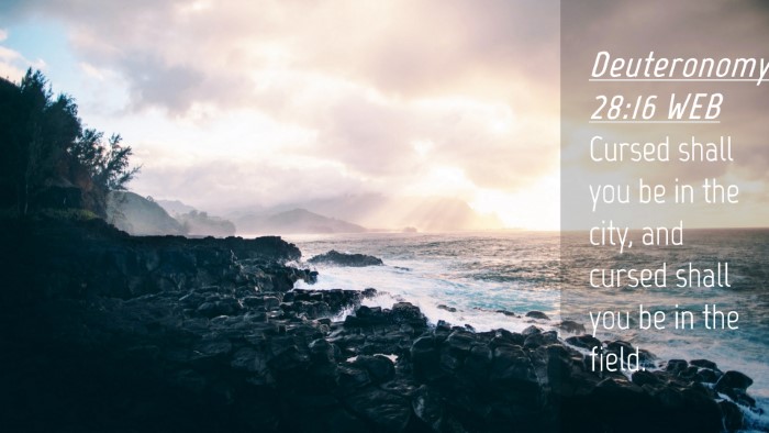 Picture 04 - Deuteronomy 28:16 WEB Desktop Wallpaper - Cursed shall you be in the city, and cursed shall - Desktop Bible Verse Wallpaper