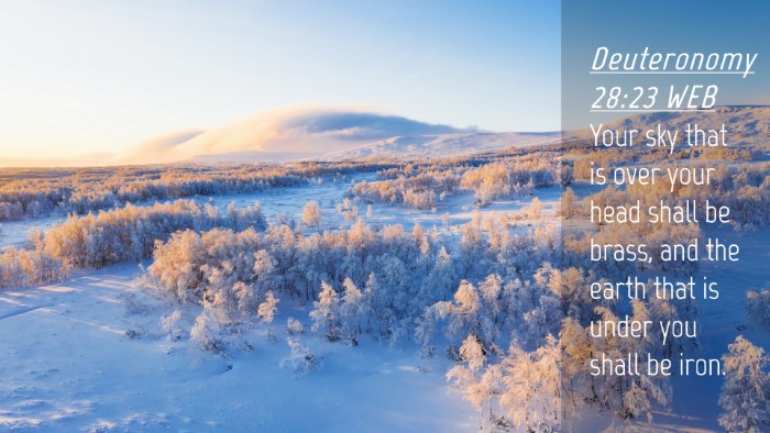 Picture 04 - Deuteronomy 28:23 WEB Desktop Wallpaper - Your sky that is over your head shall be brass, - Desktop Bible Verse Wallpaper