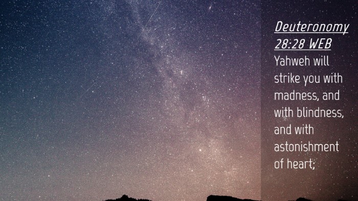 Picture 04 - Deuteronomy 28:28 WEB Desktop Wallpaper - Yahweh will strike you with madness, and with - Desktop Bible Verse Wallpaper