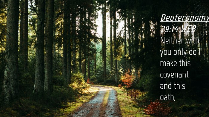 Picture 04 - Deuteronomy 29:14 WEB Desktop Wallpaper - Neither with you only do I make this covenant and - Desktop Bible Verse Wallpaper