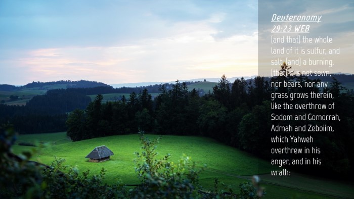 Picture 04 - Deuteronomy 29:23 WEB Desktop Wallpaper - [and that] the whole land of it is sulfur, and - Desktop Bible Verse Wallpaper