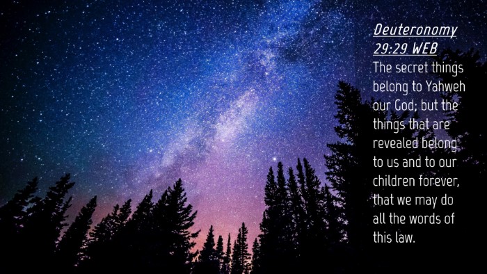 Picture 04 - Deuteronomy 29:29 WEB Desktop Wallpaper - The secret things belong to Yahweh our God; but - Desktop Bible Verse Wallpaper