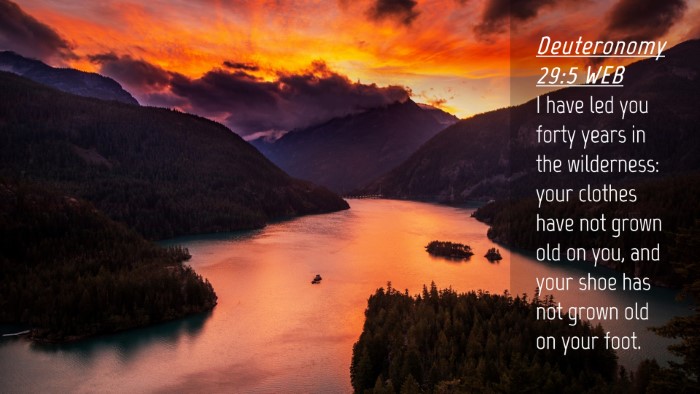 Picture 04 - Deuteronomy 29:5 WEB Desktop Wallpaper - I have led you forty years in the wilderness: - Desktop Bible Verse Wallpaper