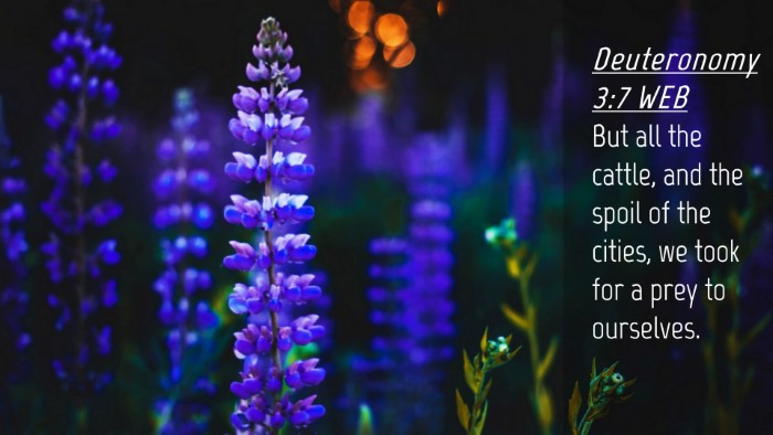 Picture 04 - Deuteronomy 3:7 WEB Desktop Wallpaper - But all the cattle, and the spoil of the cities, - Desktop Bible Verse Wallpaper