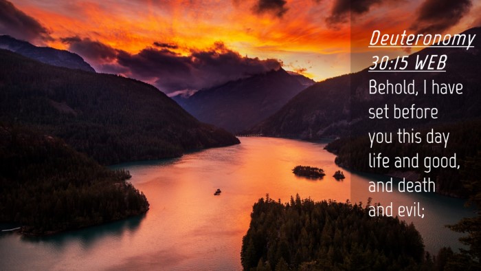 Picture 04 - Deuteronomy 30:15 WEB Desktop Wallpaper - Behold, I have set before you this day life and - Desktop Bible Verse Wallpaper