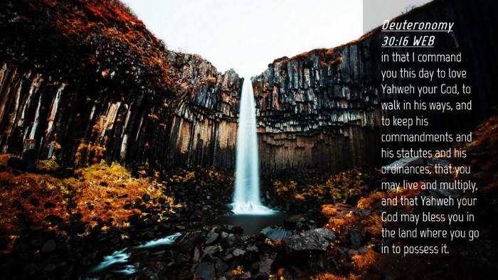 Picture 04 - Deuteronomy 30:16 WEB Desktop Wallpaper - in that I command you this day to love Yahweh - Desktop Bible Verse Wallpaper
