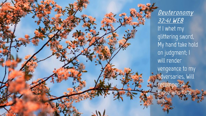 Picture 04 - Deuteronomy 32:41 WEB Desktop Wallpaper - If I whet my glittering sword, My hand take hold - Desktop Bible Verse Wallpaper
