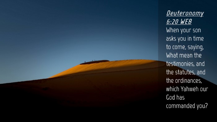 Picture 04 - Deuteronomy 6:20 WEB Desktop Wallpaper - When your son asks you in time to come, saying, - Desktop Bible Verse Wallpaper