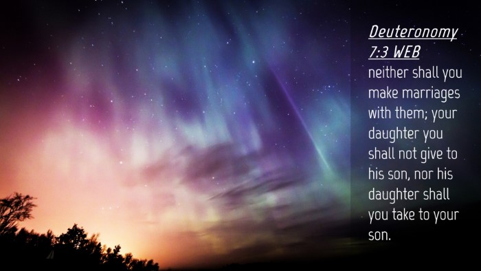 Picture 04 - Deuteronomy 7:3 WEB Desktop Wallpaper - neither shall you make marriages with them; your - Desktop Bible Verse Wallpaper