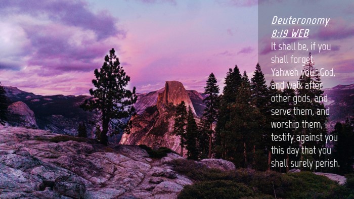 Picture 04 - Deuteronomy 8:19 WEB Desktop Wallpaper - It shall be, if you shall forget Yahweh your God, - Desktop Bible Verse Wallpaper