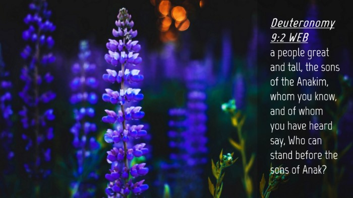Picture 04 - Deuteronomy 9:2 WEB Desktop Wallpaper - a people great and tall, the sons of the Anakim, - Desktop Bible Verse Wallpaper