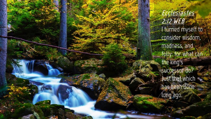 Picture 04 - Ecclesiastes 2:12 WEB Desktop Wallpaper - I turned myself to consider wisdom, madness, and - Desktop Bible Verse Wallpaper
