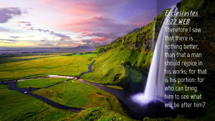 Picture 04 - Ecclesiastes 3:22 WEB Desktop Wallpaper - Therefore I saw that there is nothing better, - Desktop Bible Verse Wallpaper