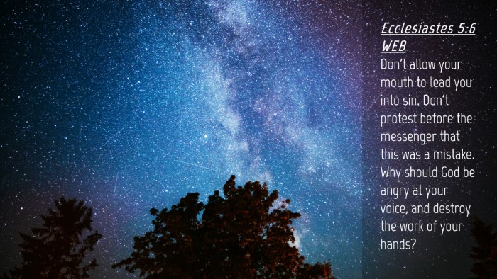 Picture 04 - Ecclesiastes 5:6 WEB Desktop Wallpaper - Don't allow your mouth to lead you into sin. - Desktop Bible Verse Wallpaper