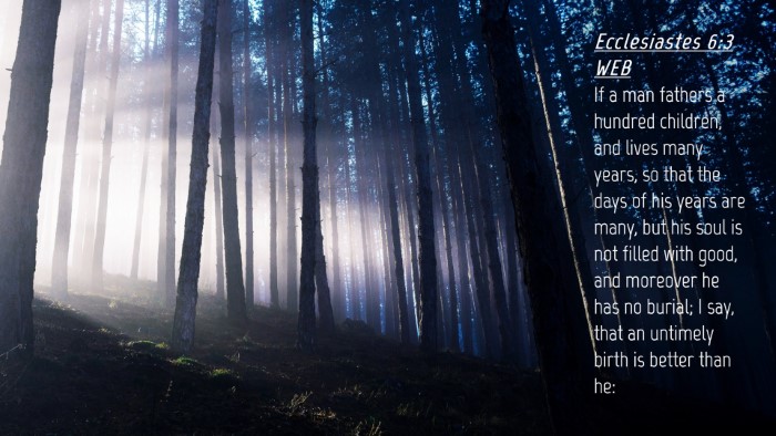 Picture 04 - Ecclesiastes 6:3 WEB Desktop Wallpaper - If a man fathers a hundred children, and lives - Desktop Bible Verse Wallpaper